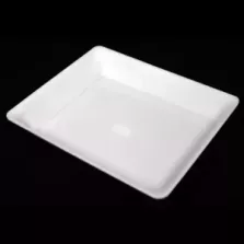 Gastroplex 1/2x50mm blanc 325x265x50mm