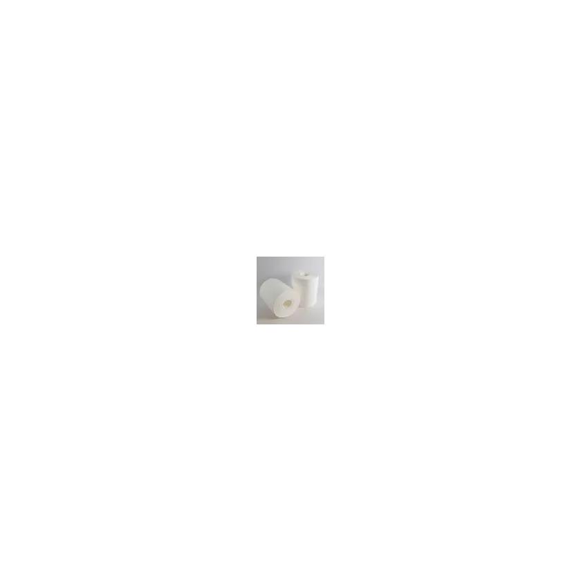 Midi rouleau papier essuie blanc sans tube 150cmx20m PrimesLab